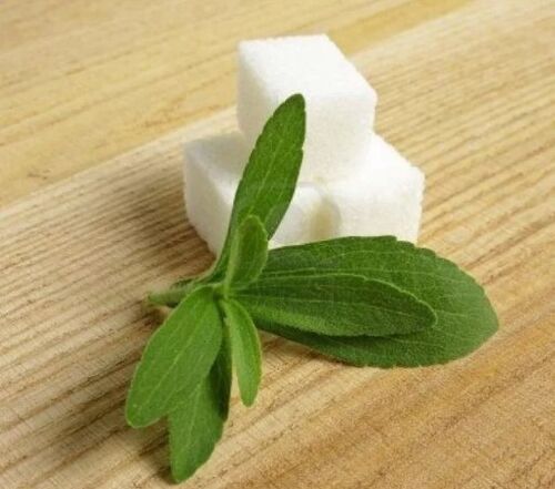 Stevia - zamjena za šećer